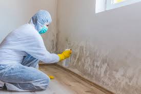 Trusted Tok, AK Mold Removal Experts